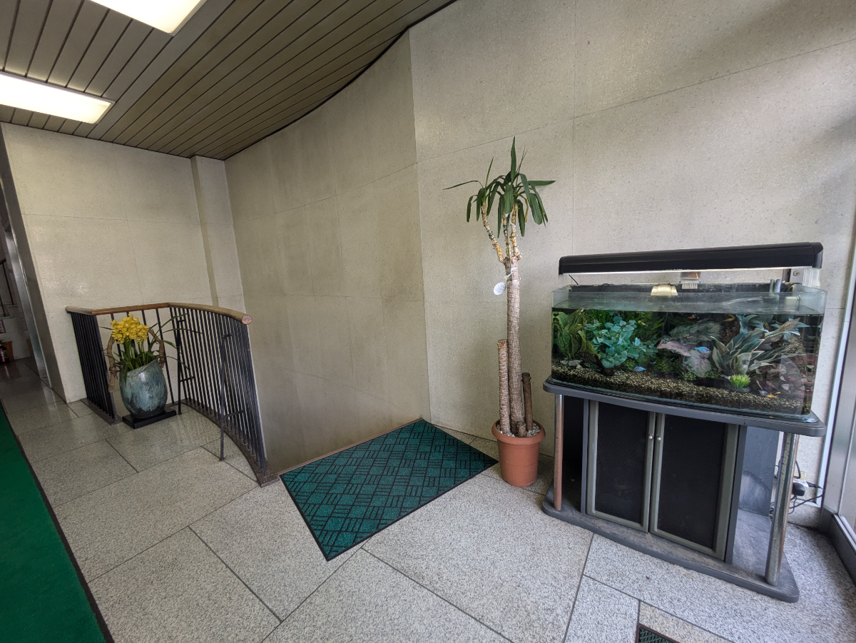 v20250729010429/fresh/building/J00100386072_6