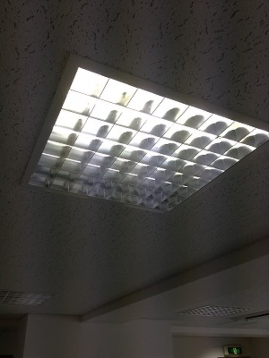 v20250801150701/fresh/building/J00100385552_14