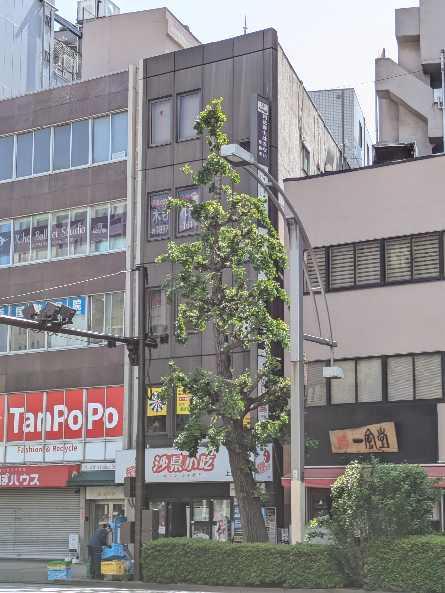 v20250917150804/fresh/building/J00100359738_7