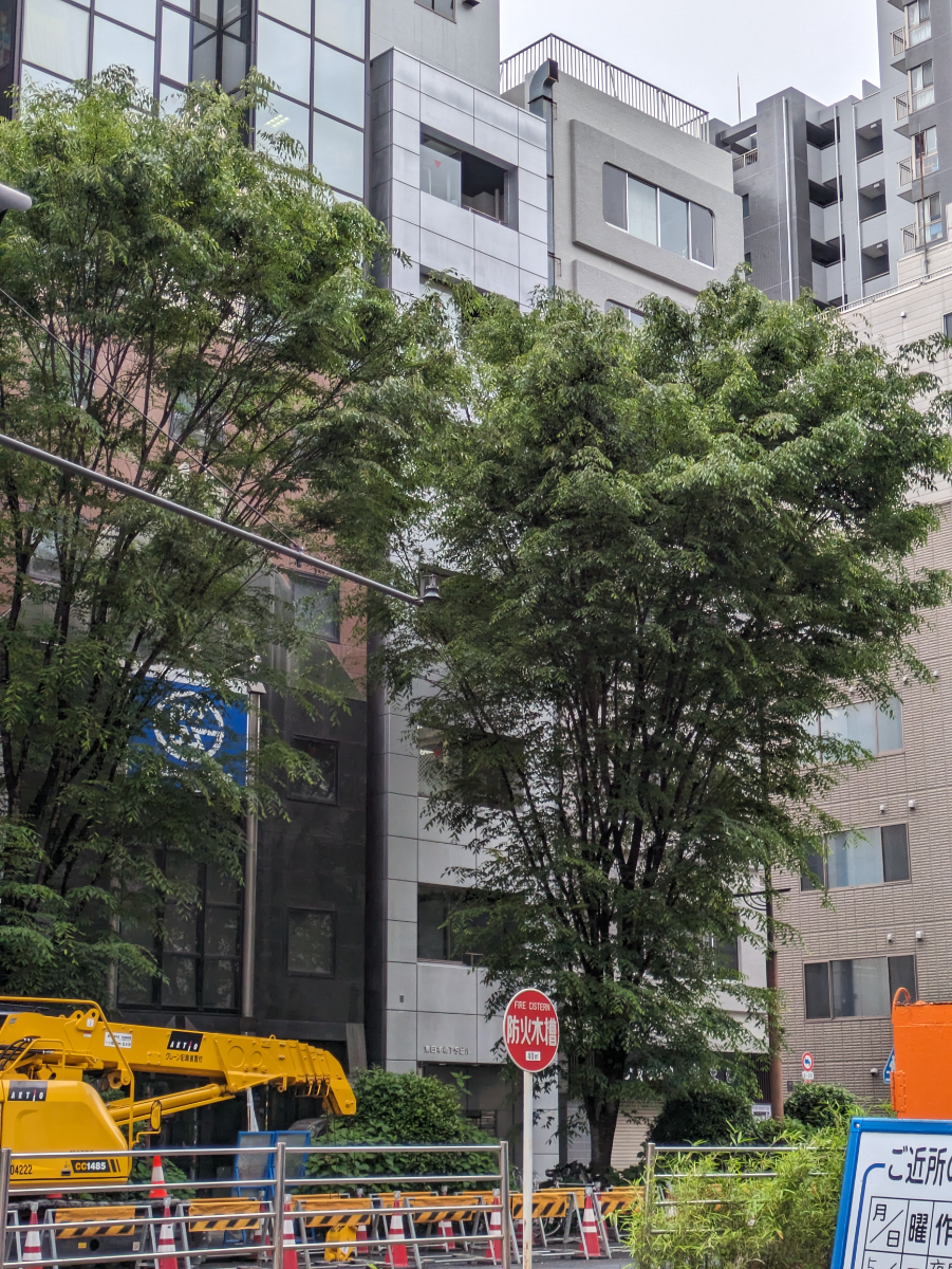v20250918150711/fresh/building/J00100374422_5