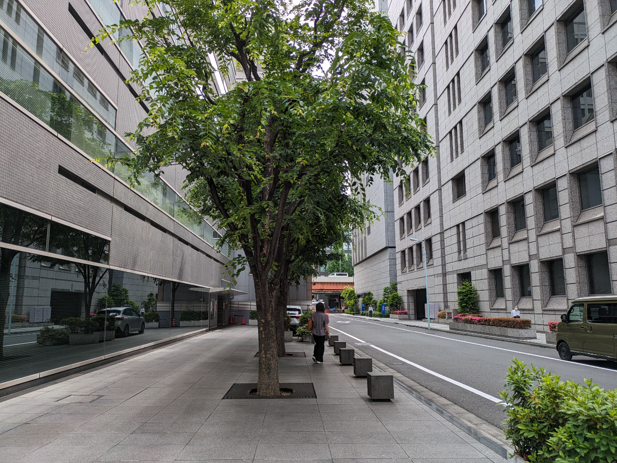v20250919150704/fresh/building/J00100386156_11