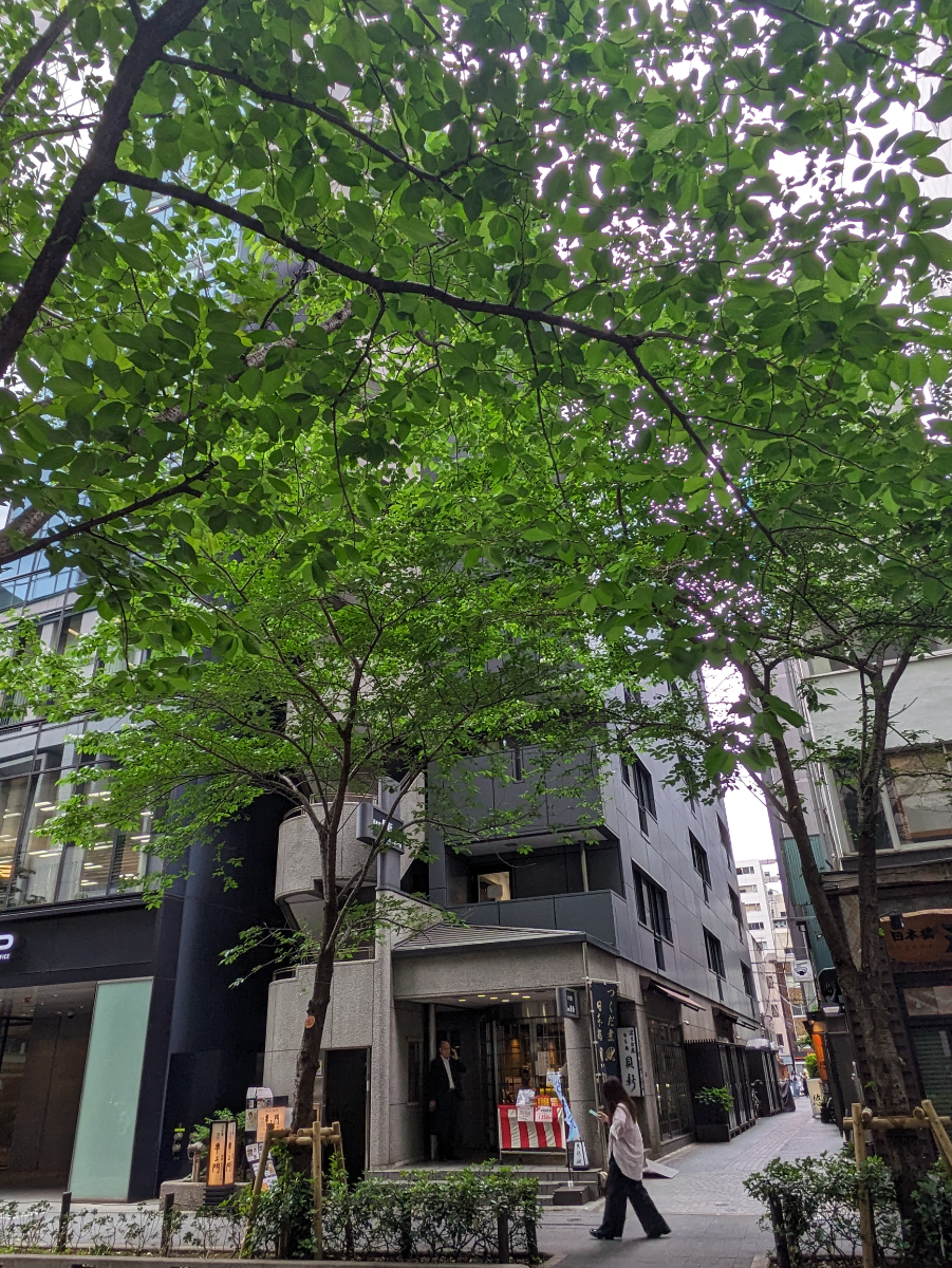 v20250925150706/fresh/building/J00100386078_6