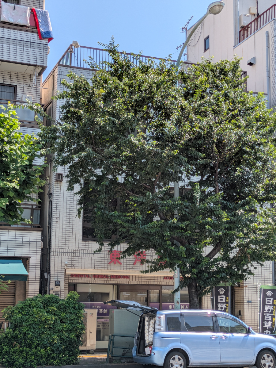 v20250926150705/fresh/building/J00100357551_5
