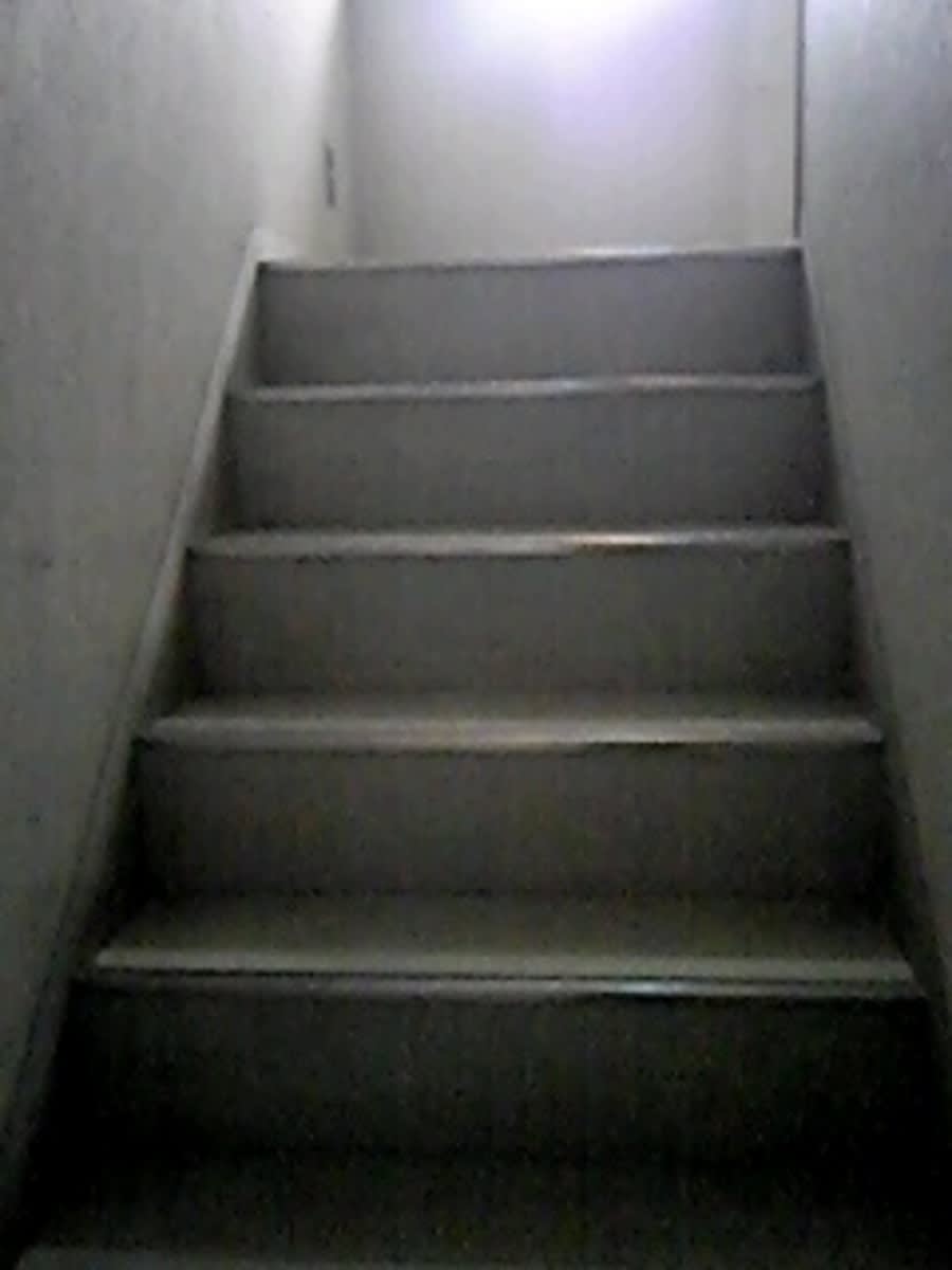 v20250929150708/fresh/building/J00100401791_4