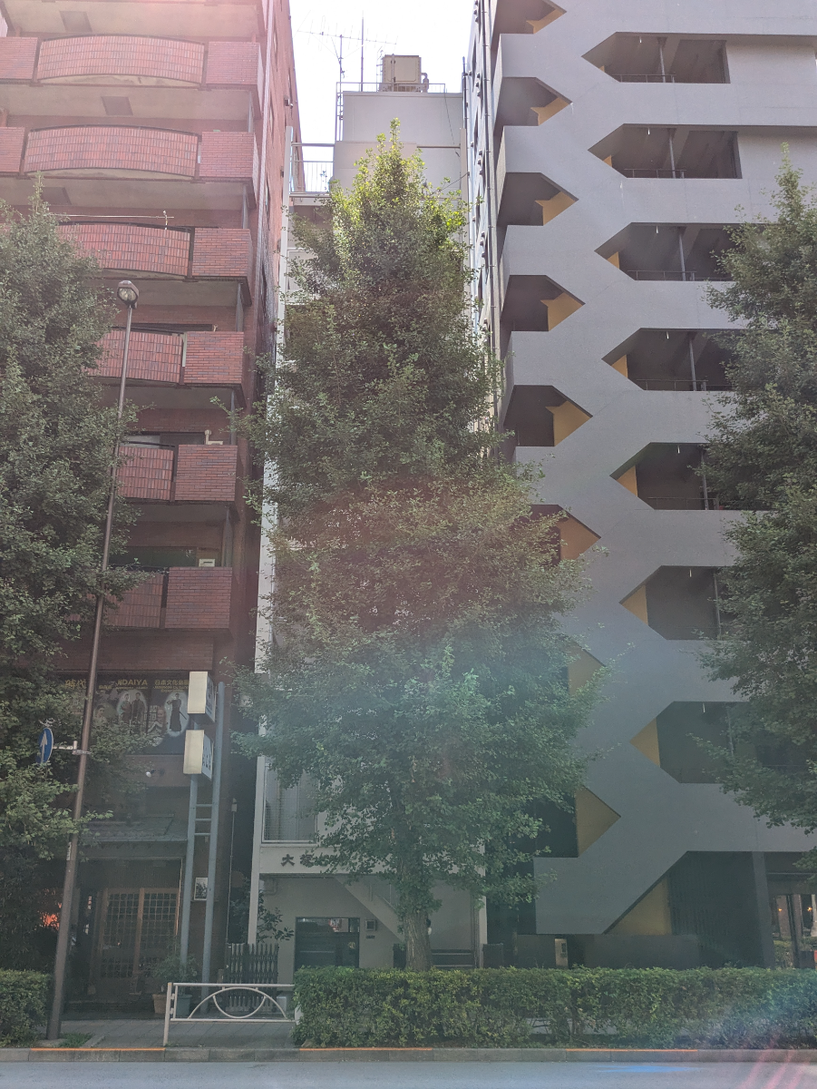 v20250930150908/fresh/building/J00100385124_1