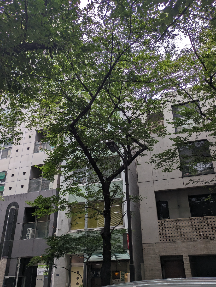v20251003033705/fresh/building/J00100374787_6