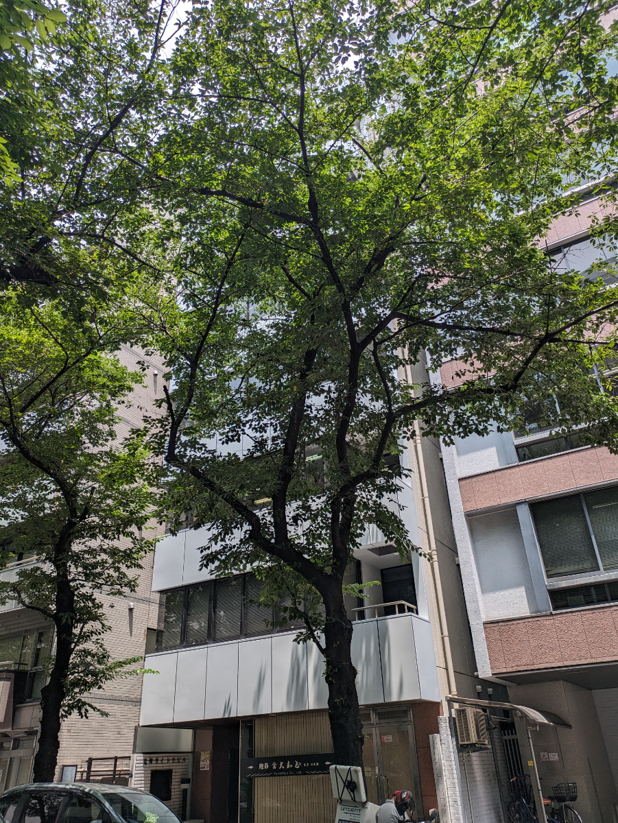 v20251003033705/fresh/building/J00100385652_6