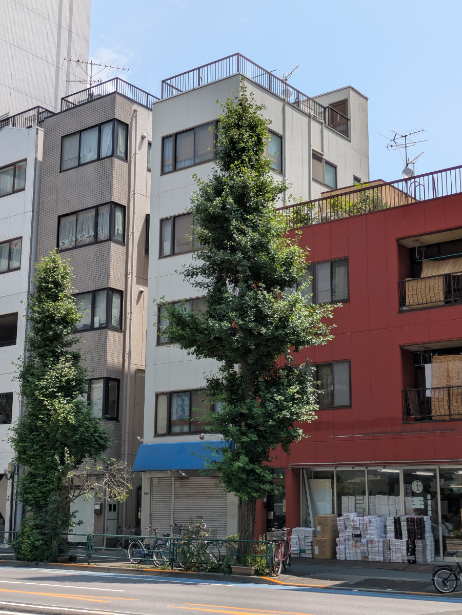 v20251003033705/fresh/building/J00100401379_7