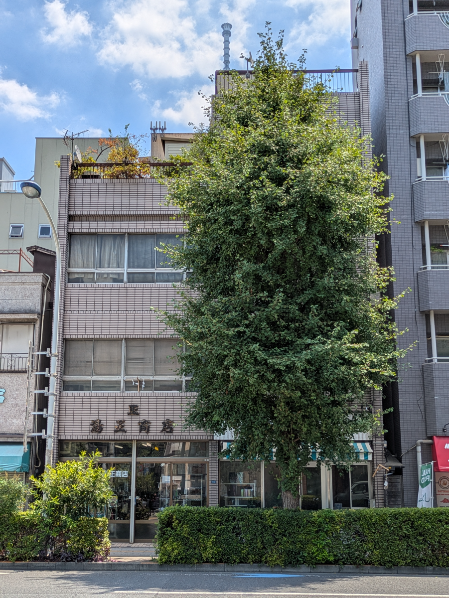 v20251006150705/fresh/building/J00100371648_1