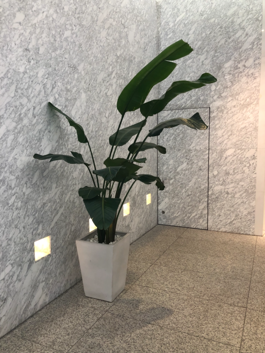 v20251010150707/fresh/building/J00100401895_6