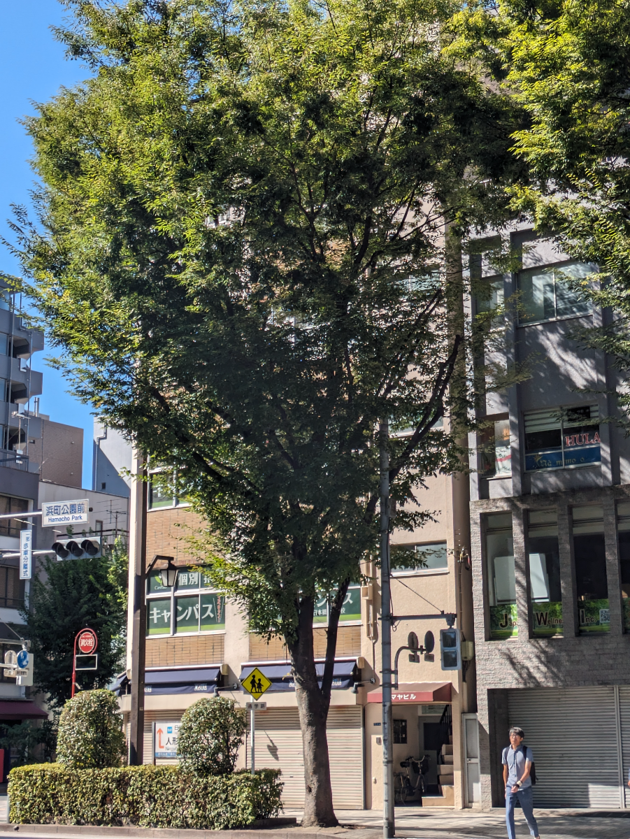 v20251010150708/fresh/building/J00100377382_5