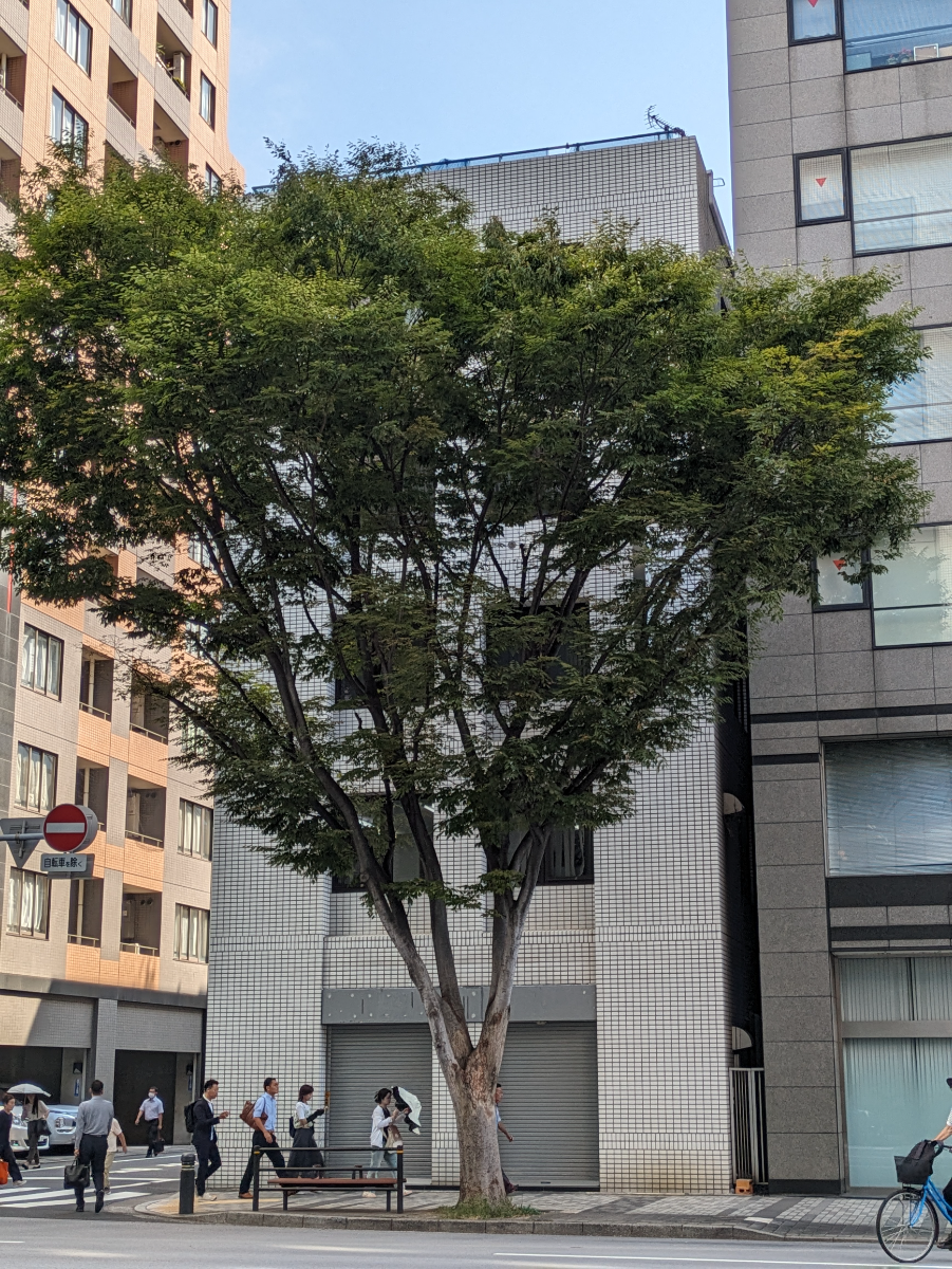 v20251011150702/fresh/building/J00100383356_7