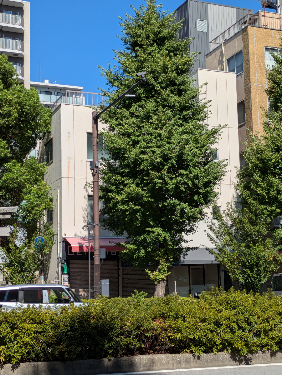 v20251011150702/fresh/building/J00100607979_7