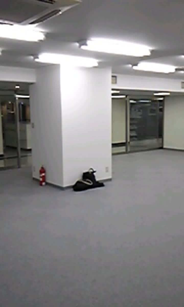 v20251211150803/fresh/building/J00100380577_6