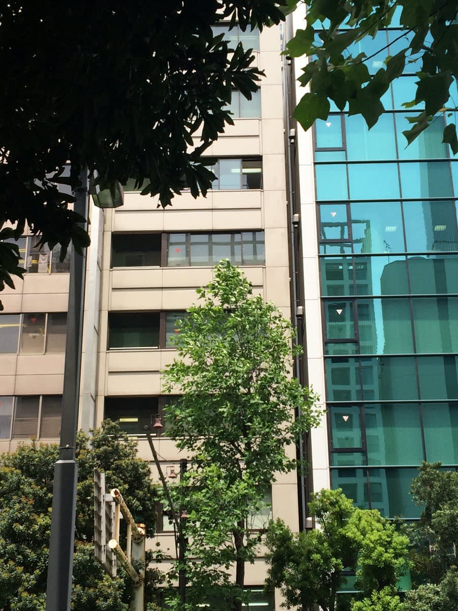 v20251221150706/fresh/building/J00100388653_10