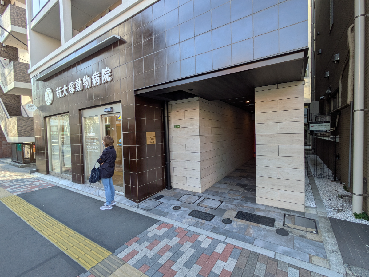v20260106150805/fresh/building/J00100512246_10