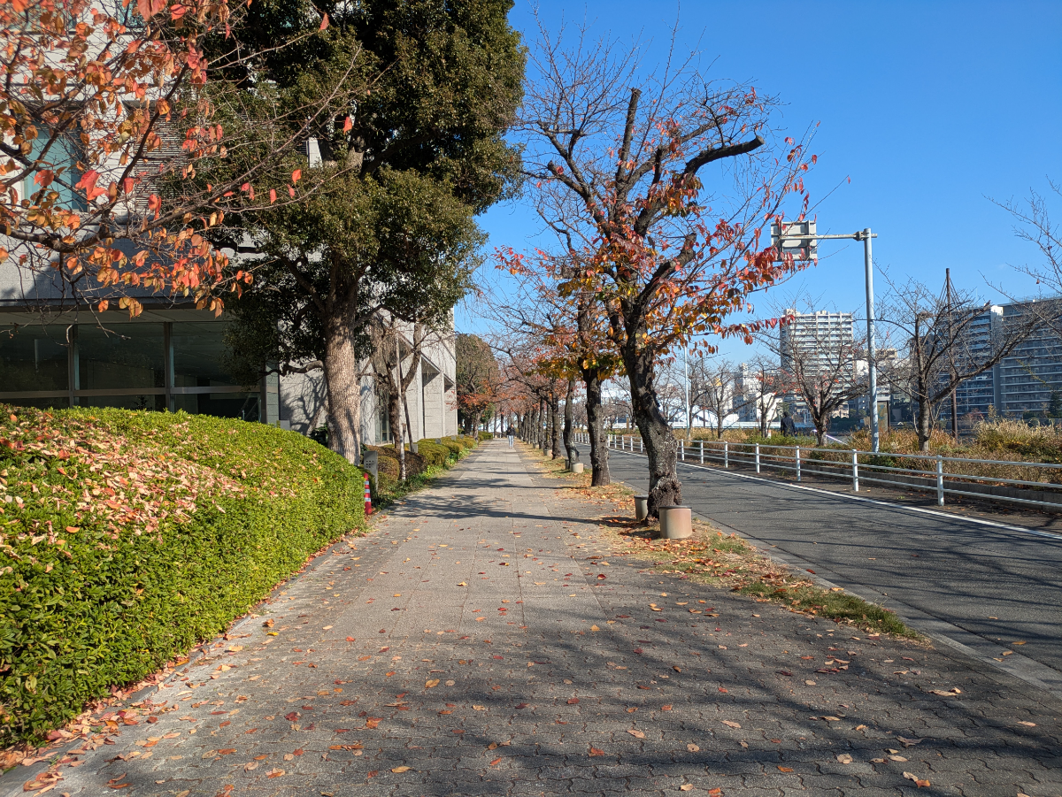v20260108150801/fresh/building/J00100502407_20