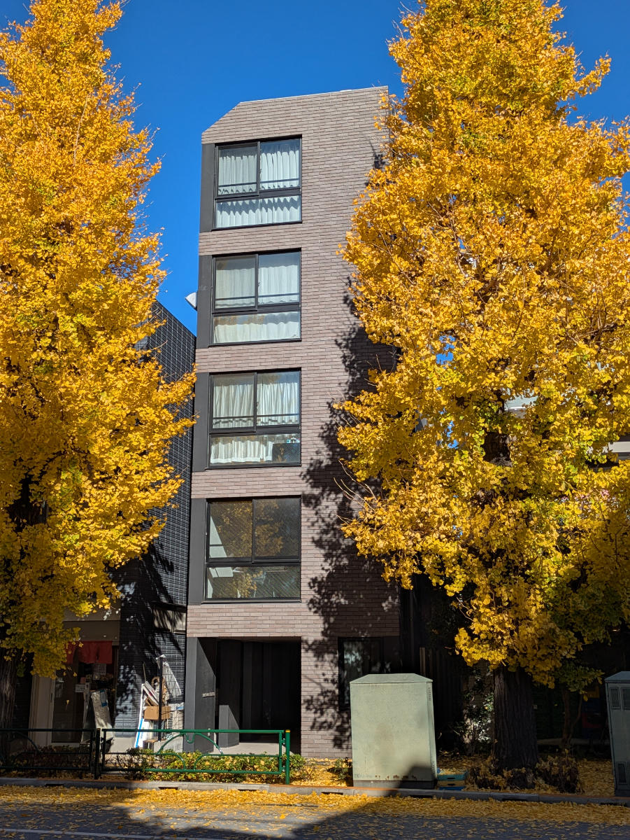 v20260119151022/fresh/building/J00100609314_6