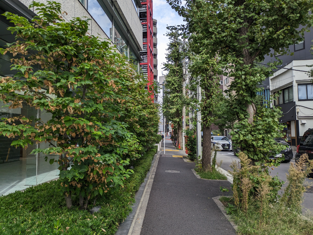 v20260126151127/fresh/building/J00100363157_13