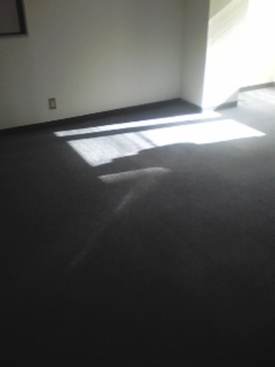 v20260126151127/fresh/building/J00100374599_5