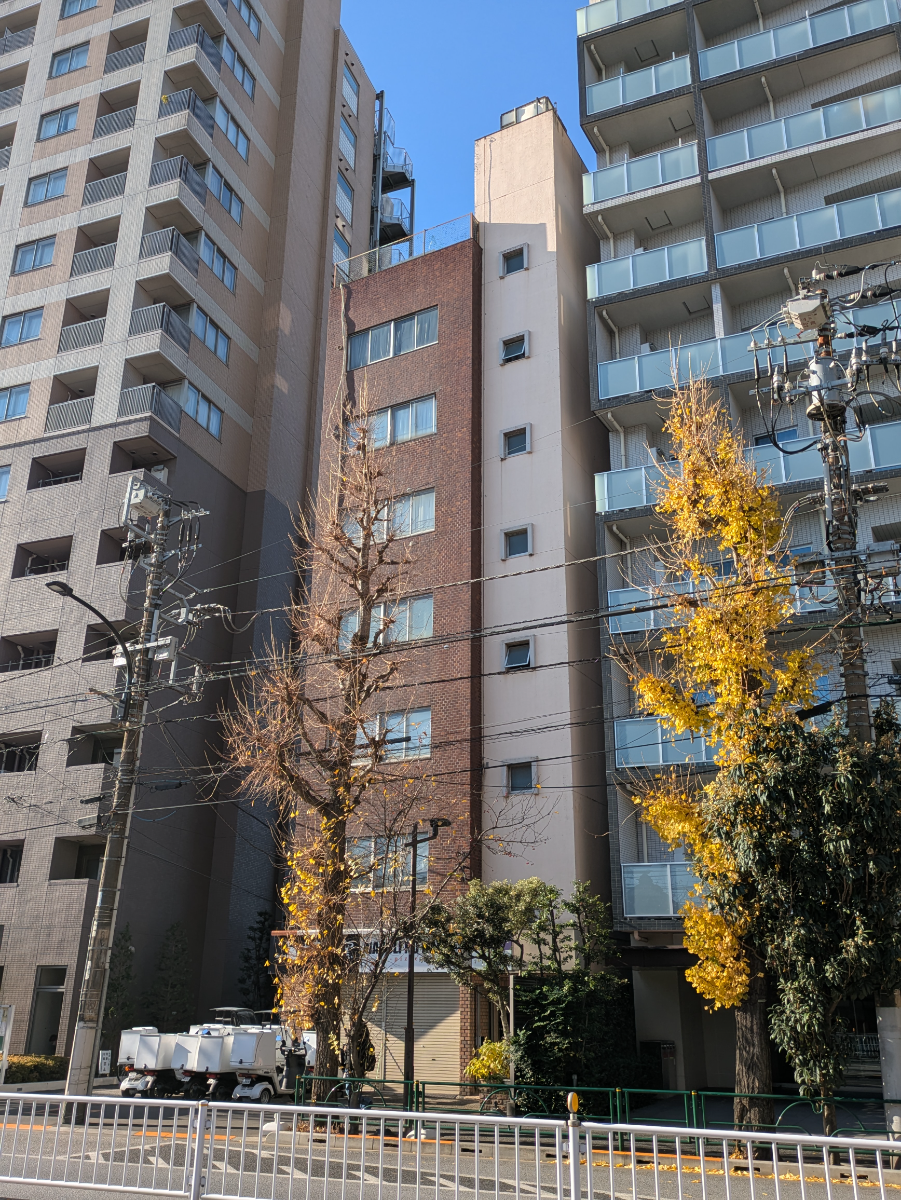 v20260210150910/fresh/building/J00100419010_5