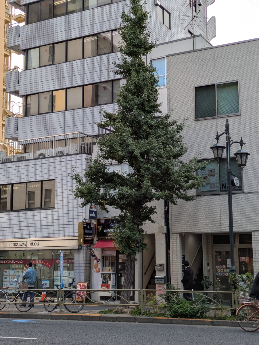 v20260212150809/fresh/building/J00100467848_6