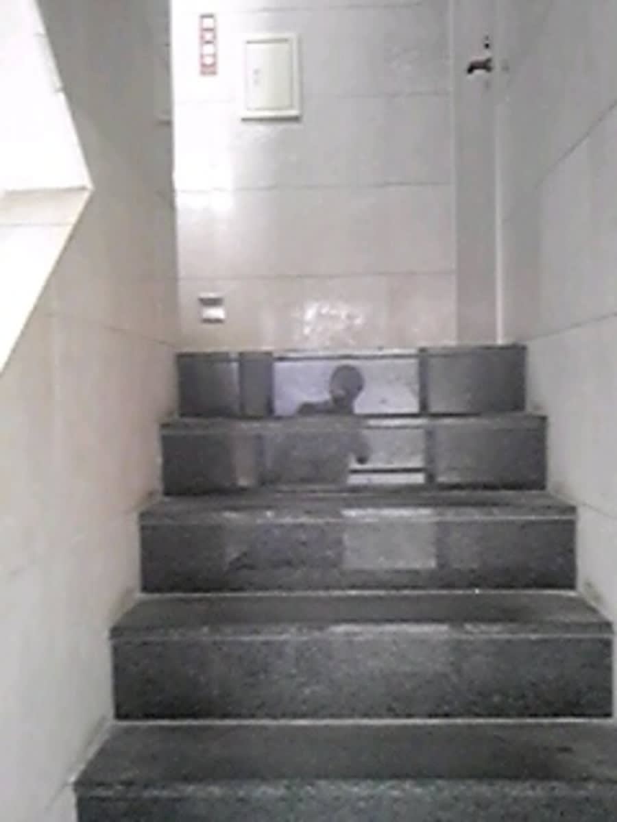 v20260225150906/fresh/building/J00100403055_4