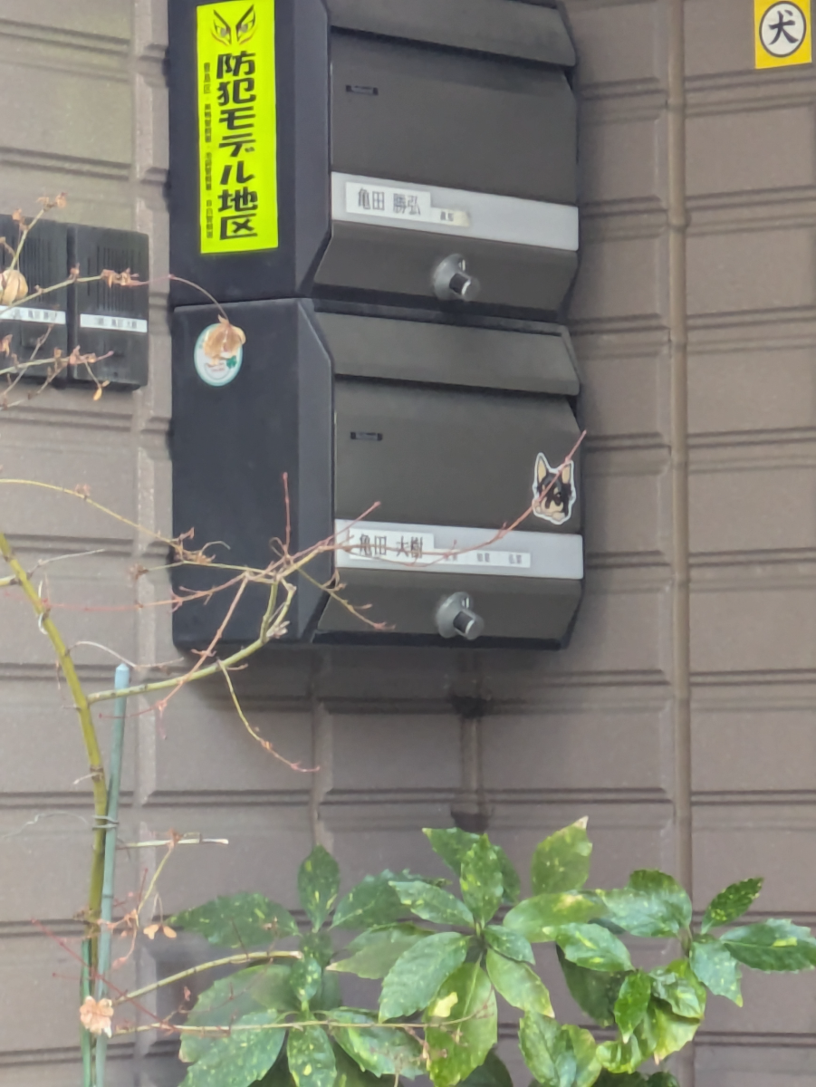 v20260303151002/fresh/building/J00100468254_11
