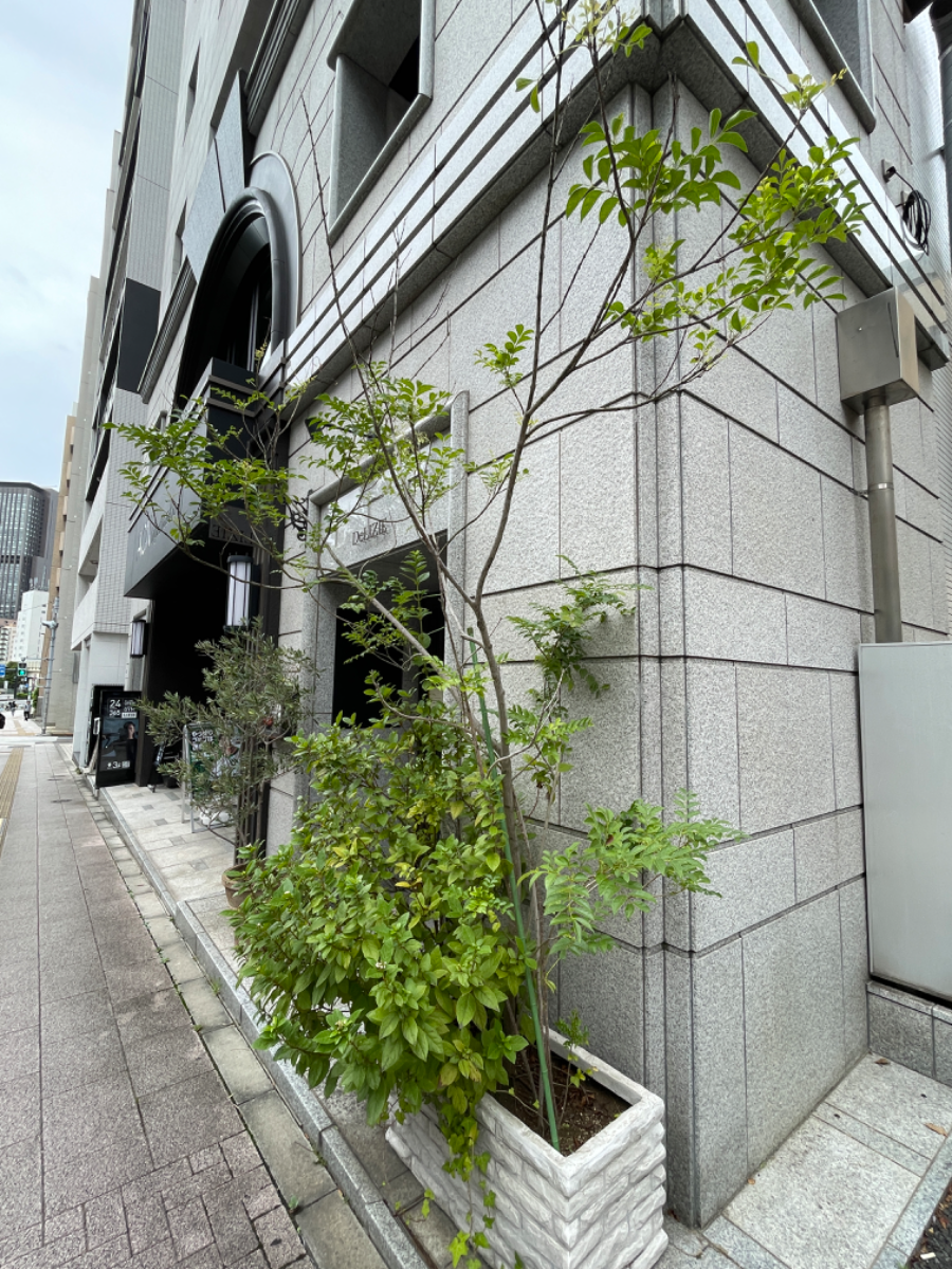 v20260310150810/fresh/building/J00100420835_8