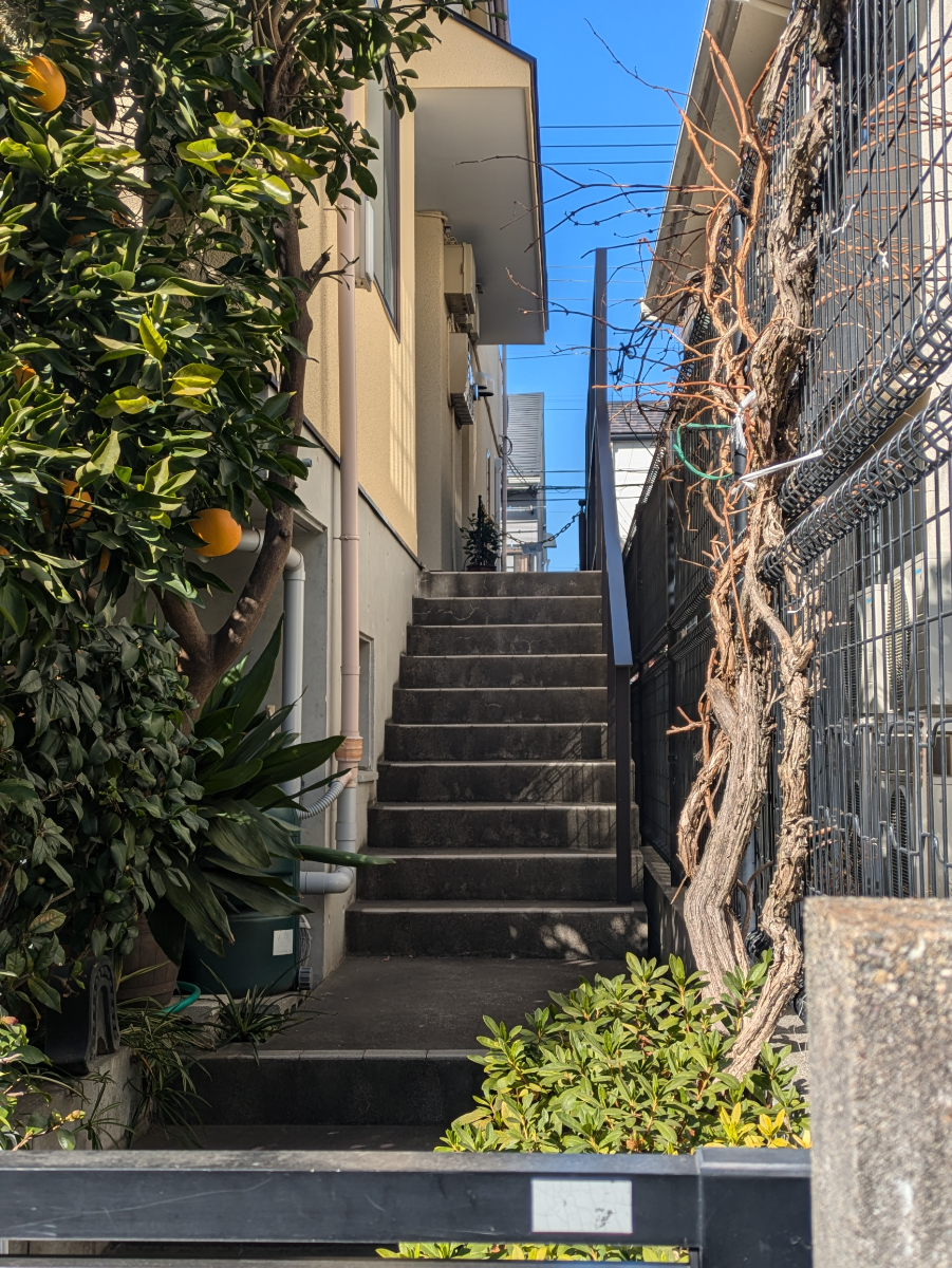 v20260319150754/fresh/building/J00100416050_12
