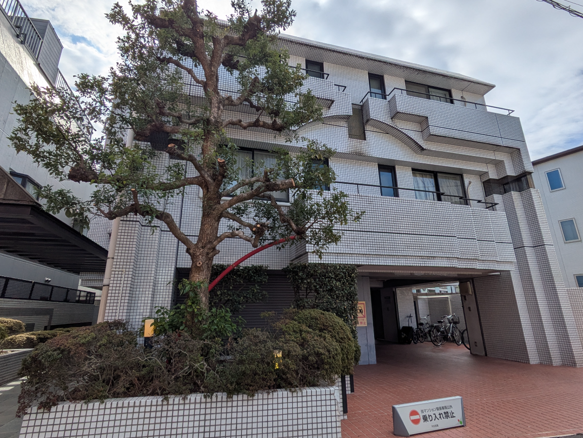 v20260326151010/fresh/building/J00100364756_12