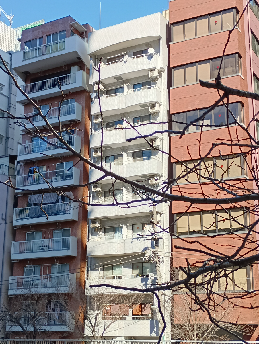v20260326151010/fresh/building/J00100372909_12