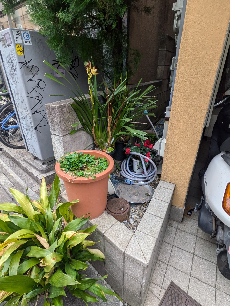 v20260406072300/fresh/building/J00100414764_8