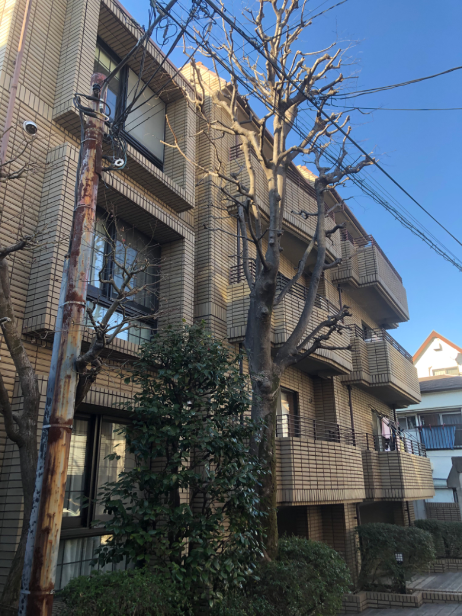 v20260507150901/fresh/building/J00100394621_1