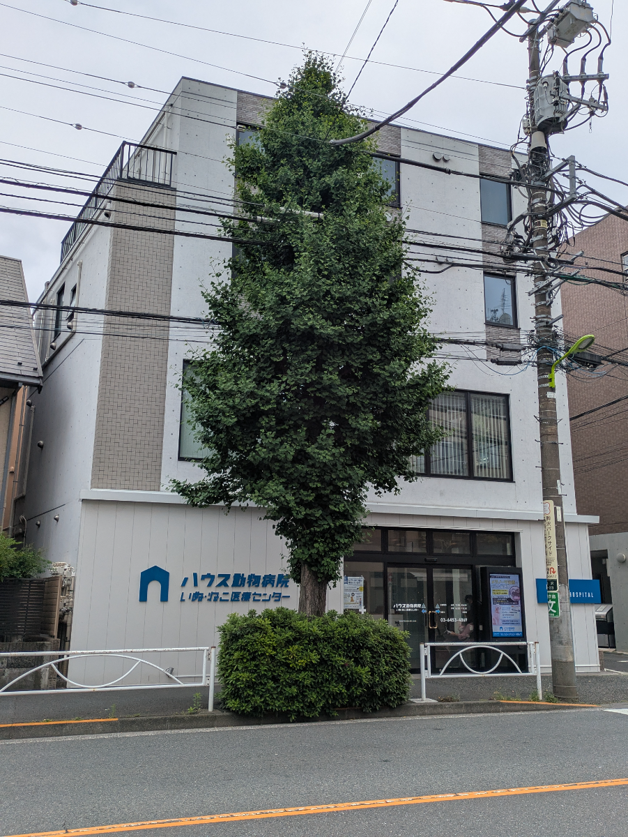 v20260514150851/fresh/building/J00100502822_6