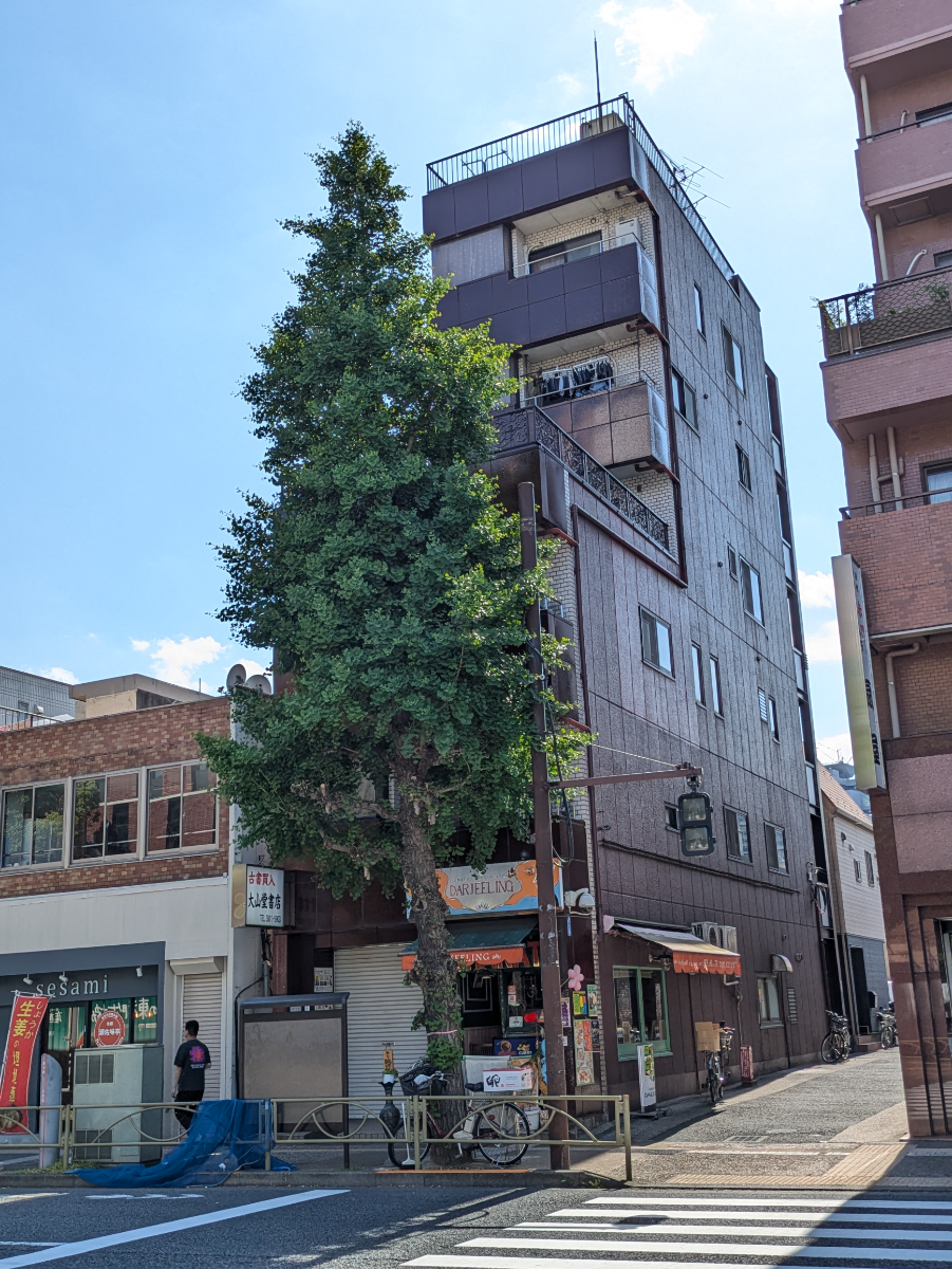 v20260522150901/fresh/building/J00100635984_14