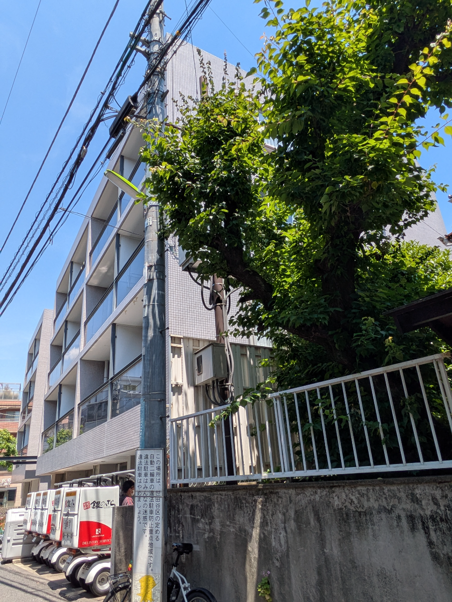 v20260527151126/fresh/building/J00100365352_7