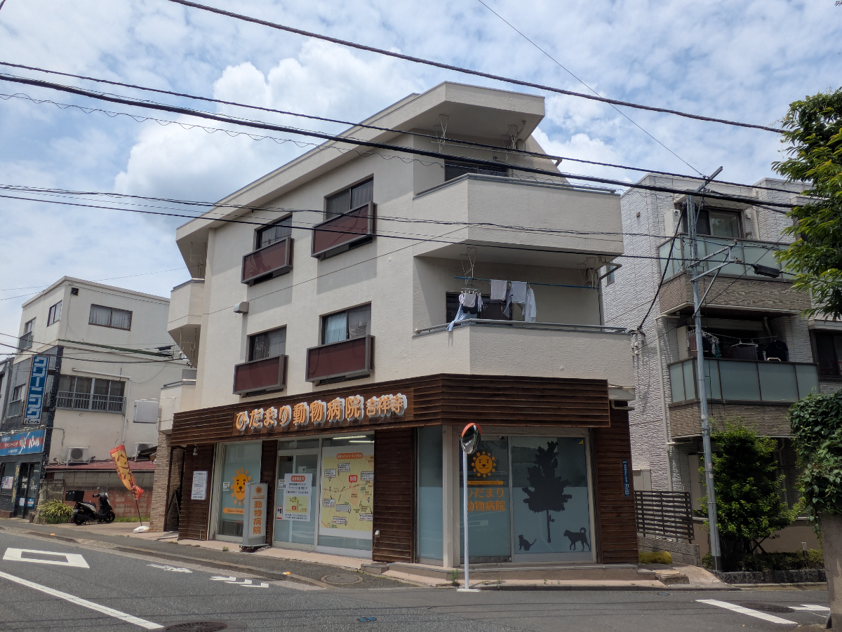 v20260613150736/fresh/building/J00100412757_1