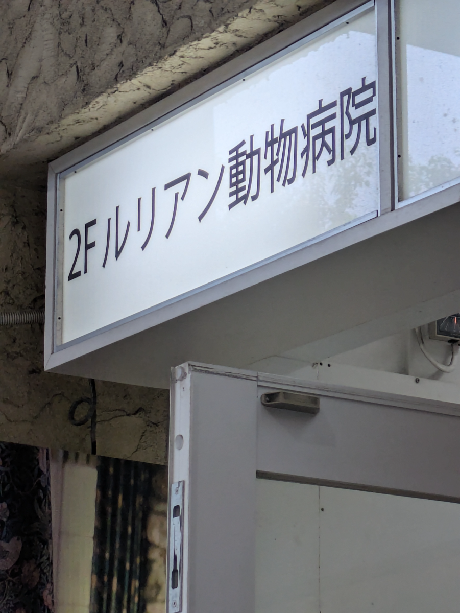 v20260623151000/fresh/building/J00100412386_11