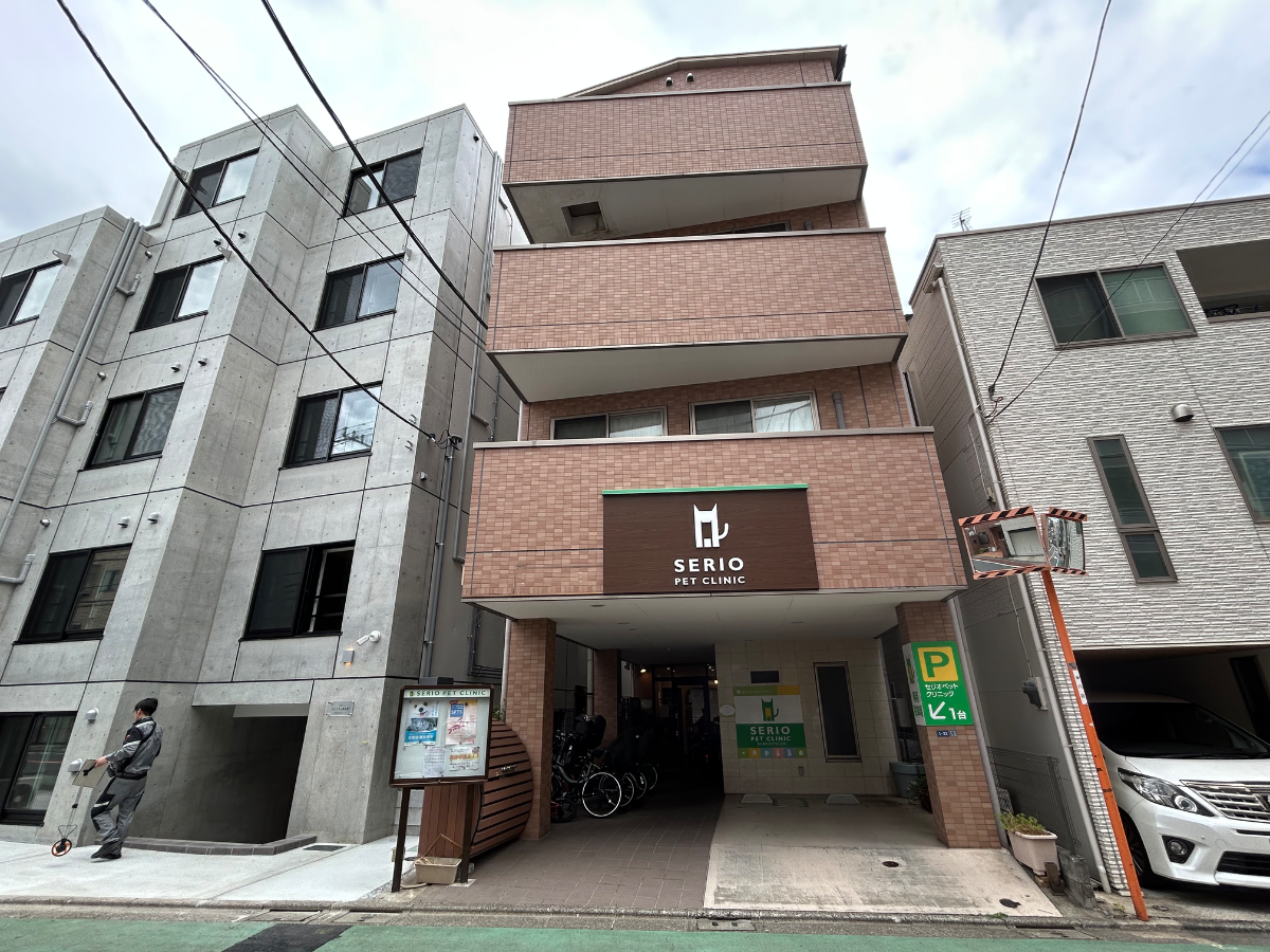 v20260627150649/fresh/building/J00100395843_5