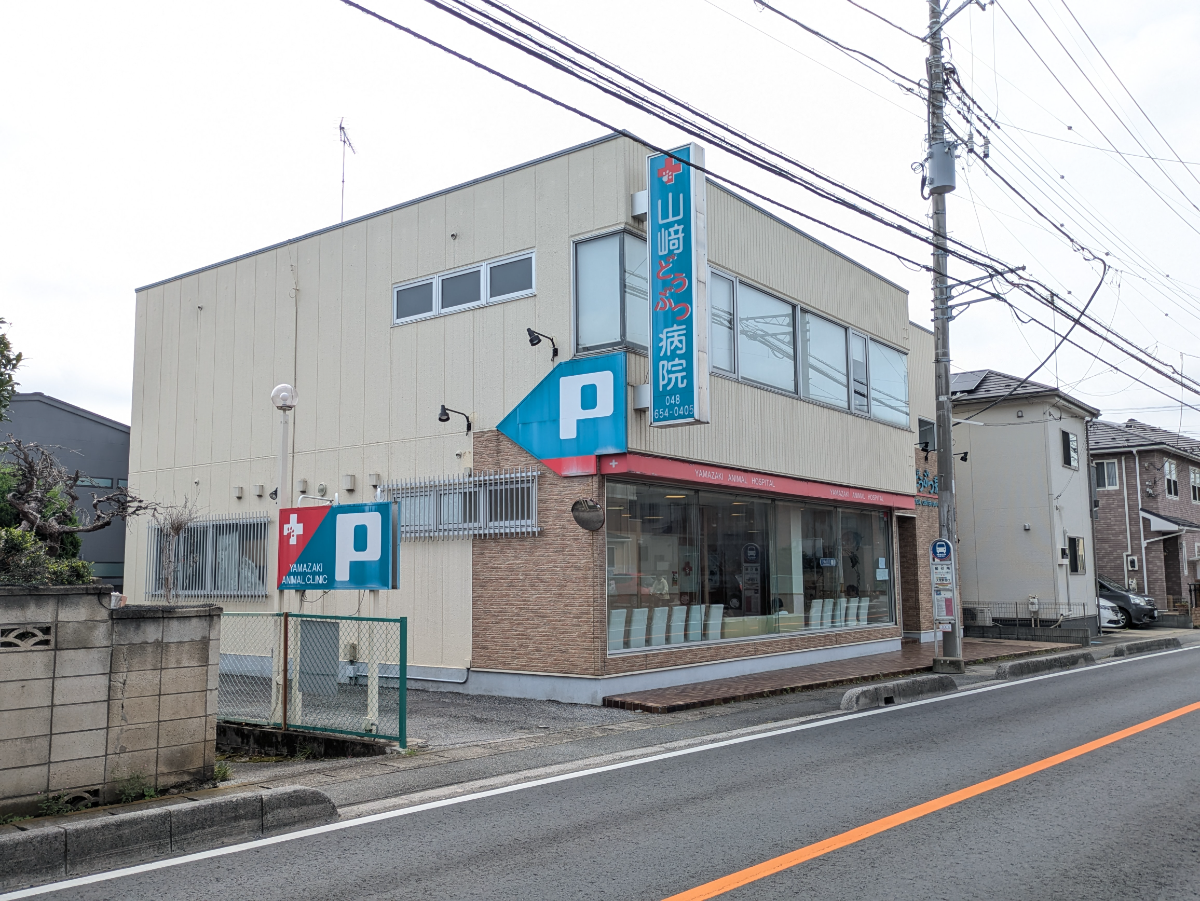 v20260703150756/fresh/building/J00100370295_7