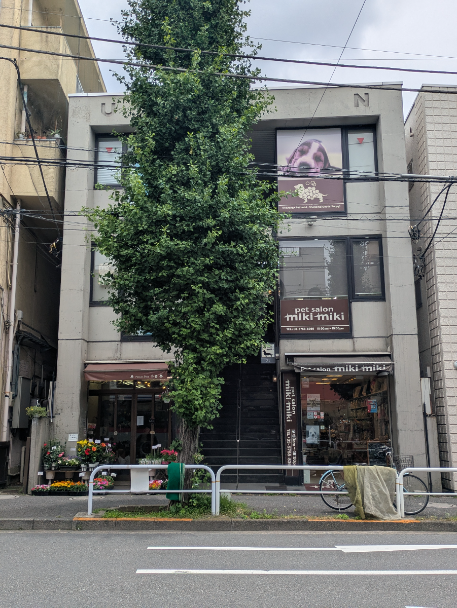 v20260704150638/fresh/building/J00100412602_5