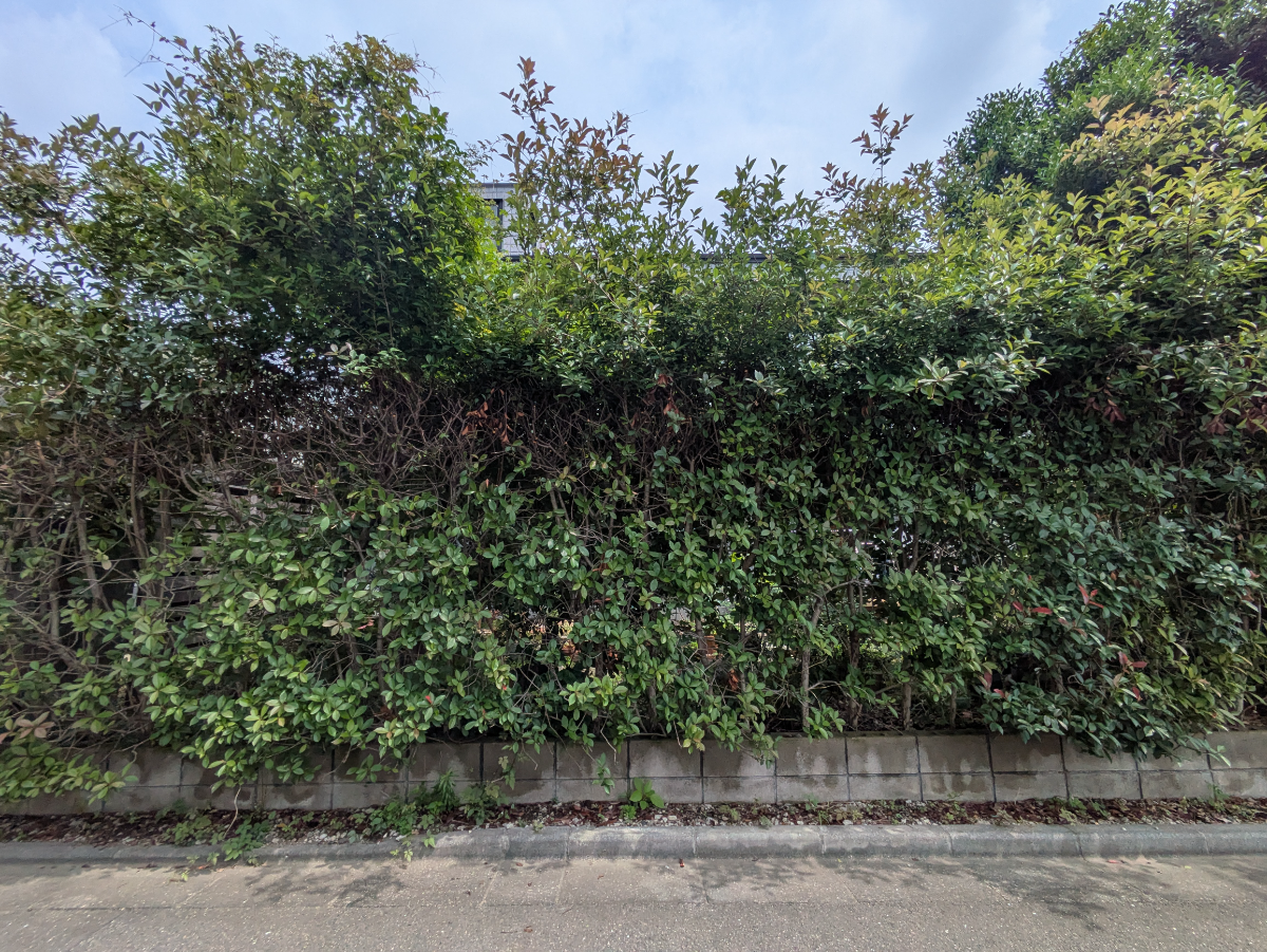 v20260706150910/fresh/building/J00100408058_8