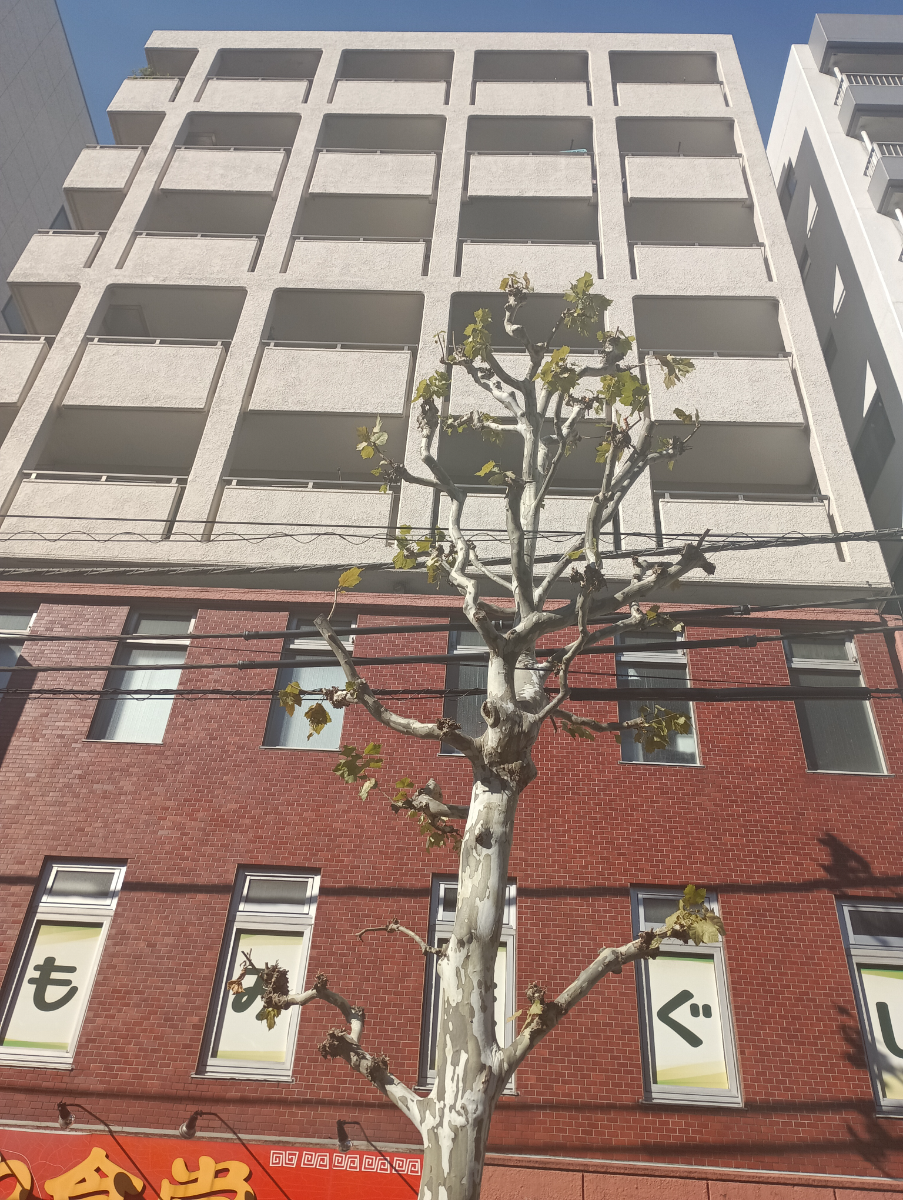 v20260714150902/fresh/building/J00100360001_15