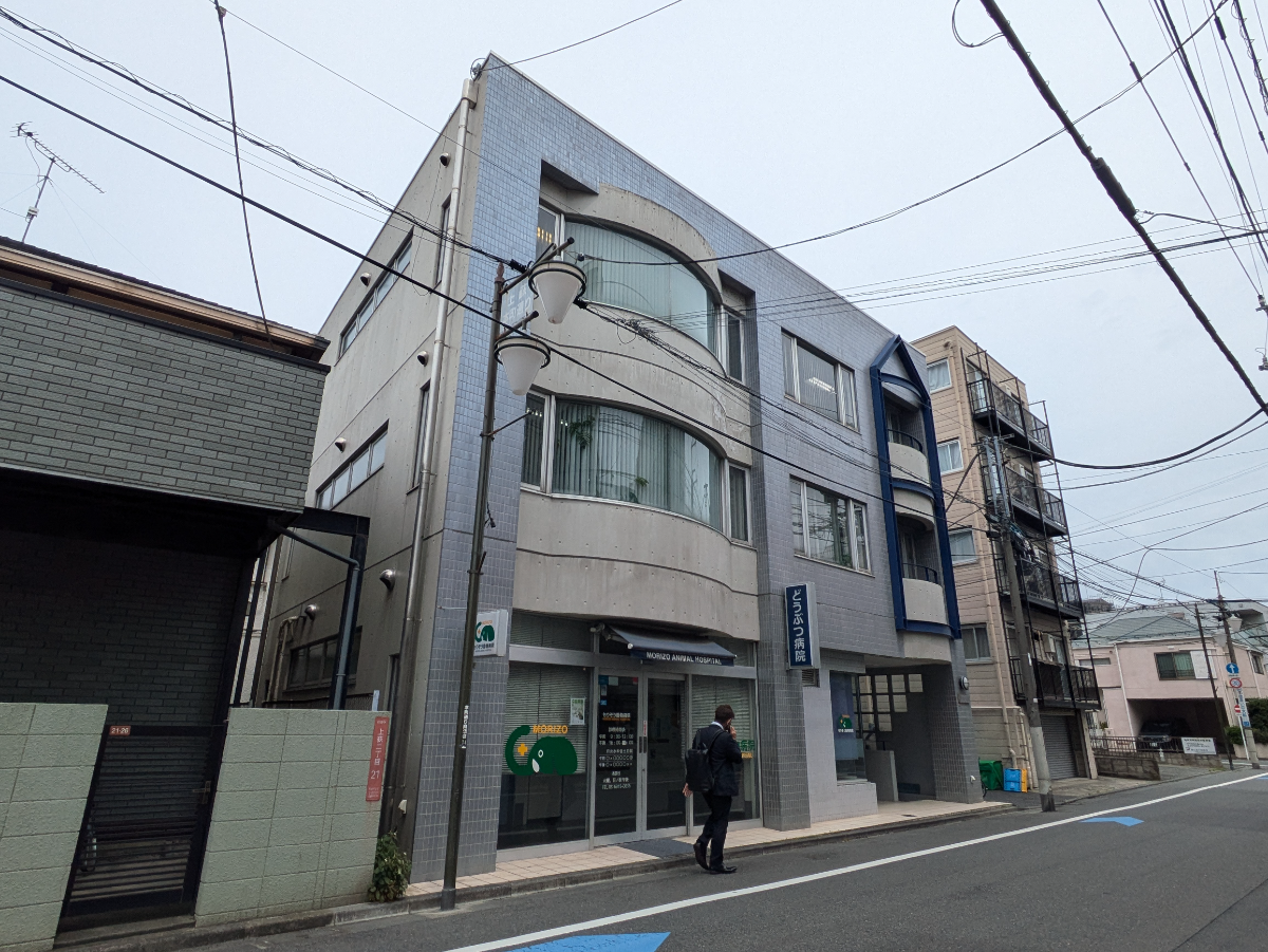 v20260718150645/fresh/building/J00100419797_6