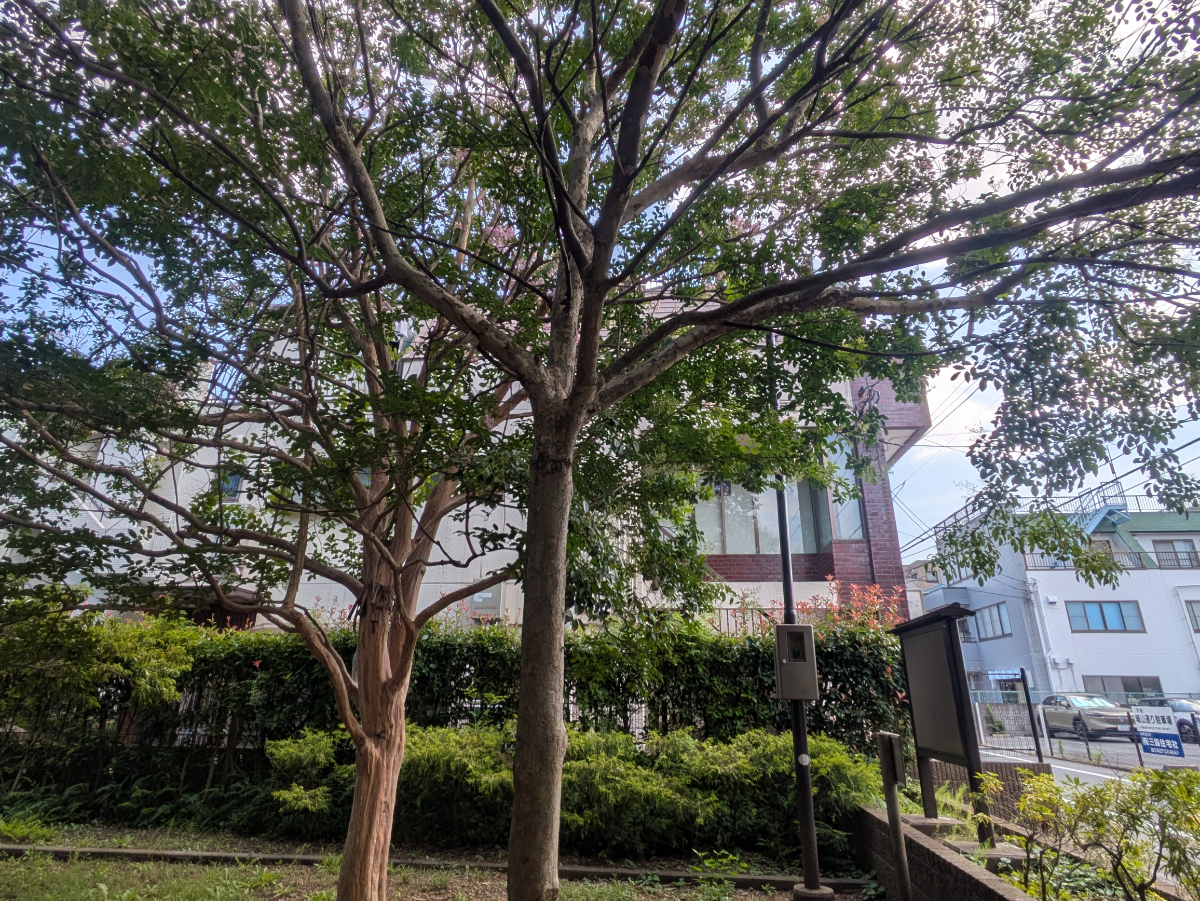 v20260722150900/fresh/building/J00100357984_7