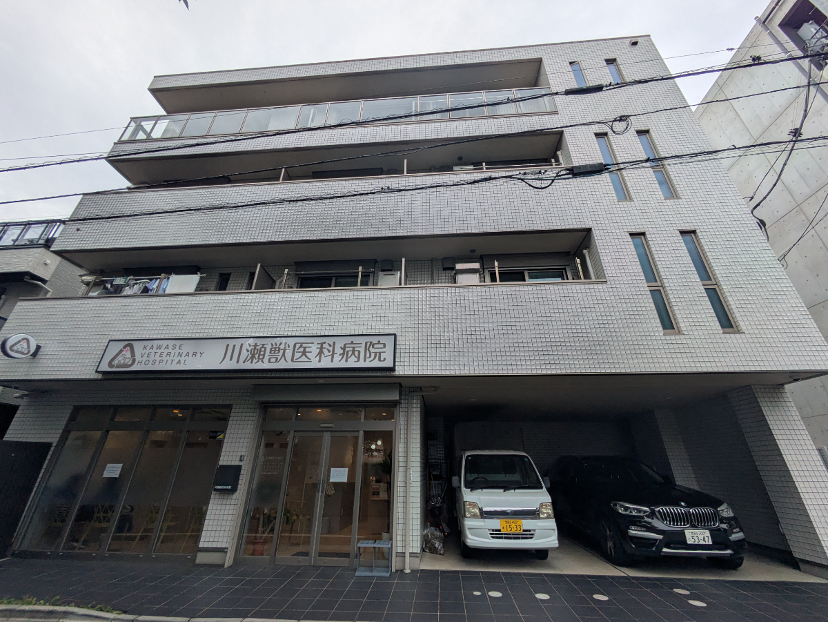 v20260723151009/fresh/building/J00100381588_5