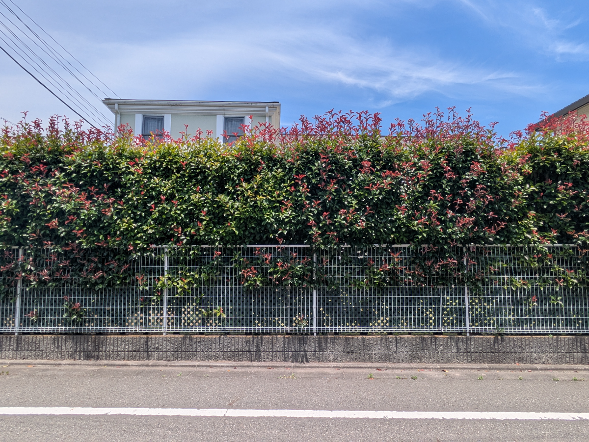 v20260723151009/fresh/building/J00100495804_7