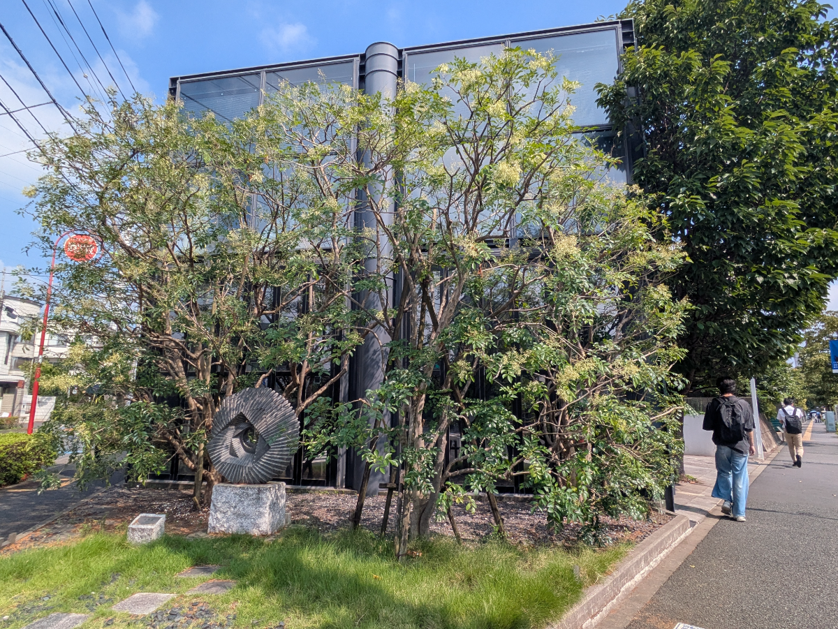 v20260731150959/fresh/building/J00100504393_6
