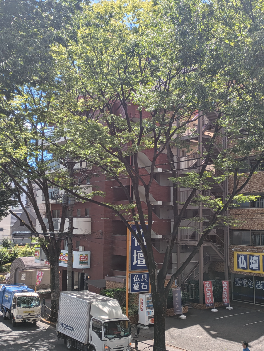 v20260802150642/fresh/building/J00100364318_10